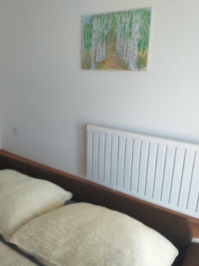 Apartment Primceva Maribor Kültér fotó